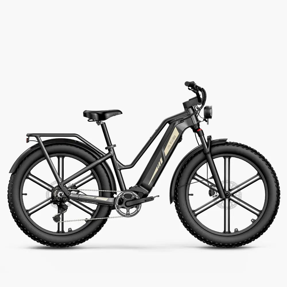 Fiido Titan Fat Tyre Touring E-Bike – 250W, Up to 347km Range