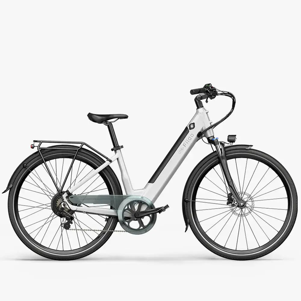 Fiido C11 Electric Bike - 250W Step-Through Design