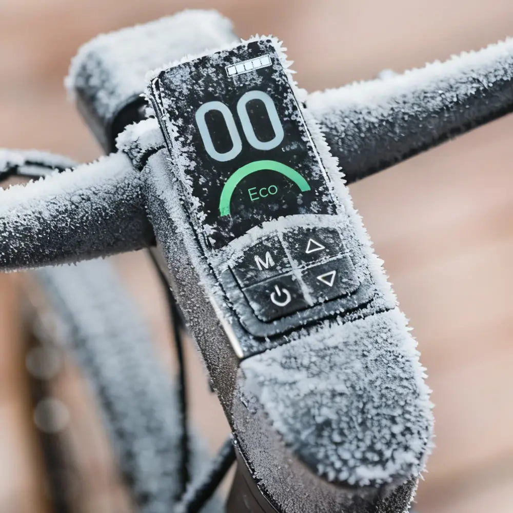 Fiido C21 E-Gravel E-Bike for Urban and Gravel Riding