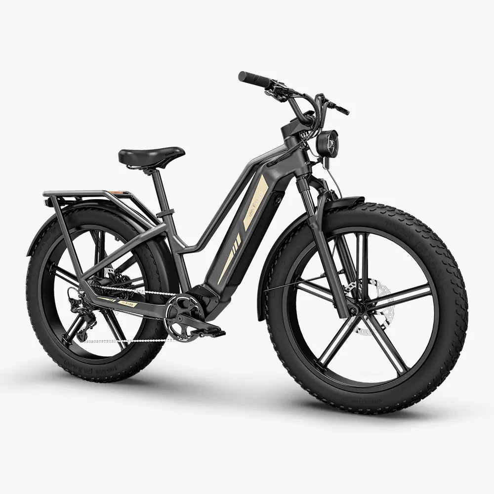 Fiido Titan Fat Tyre Touring E-Bike – 250W, Up to 347km Range