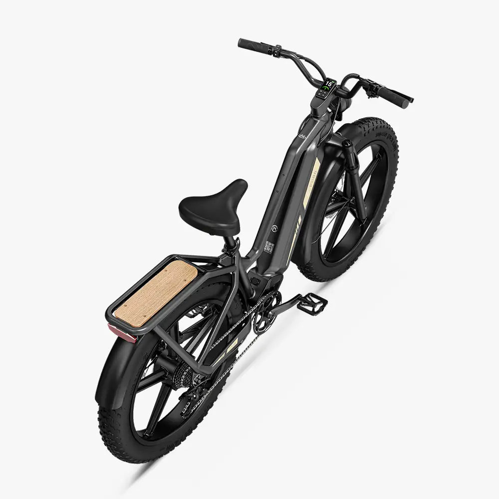 Fiido Titan Fat Tyre Touring E-Bike – 250W, Up to 347km Range