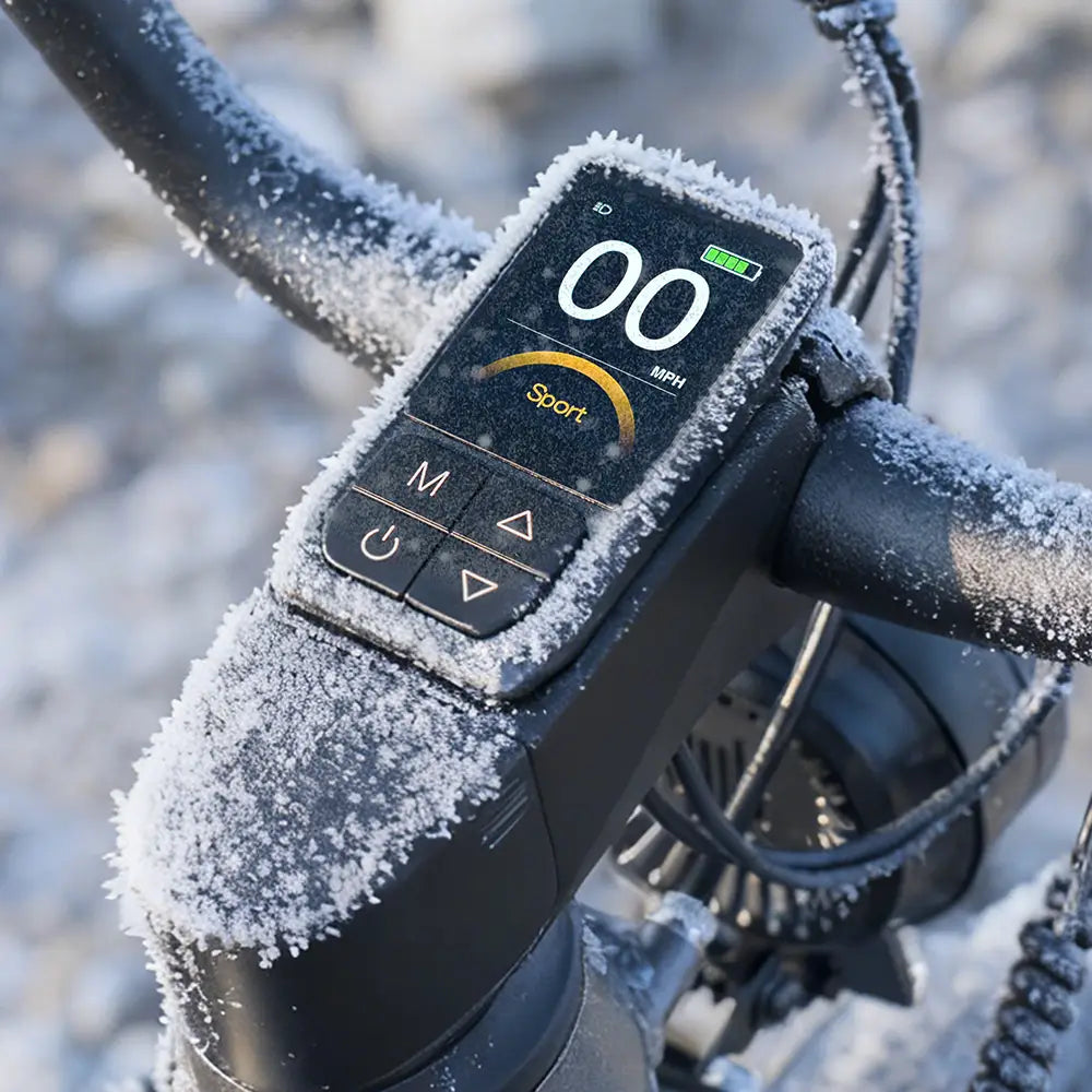 Fiido Titan Fat Tyre Touring E-Bike – 250W, Up to 347km Range